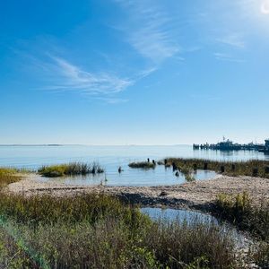 Meet your Posher, Lindsay